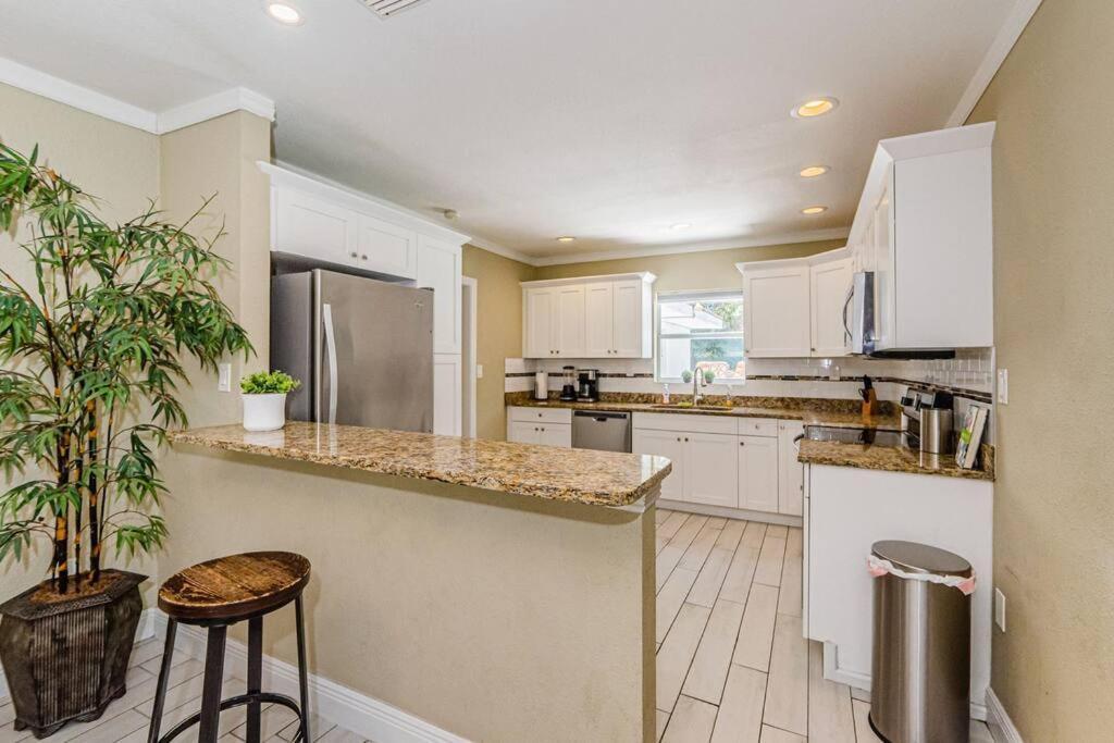 Beautiful Pool House In Old Seminole Heights! Villa Tampa Esterno foto